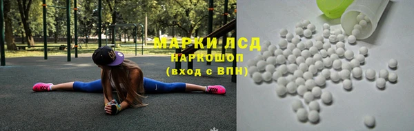 стаф Нефтегорск
