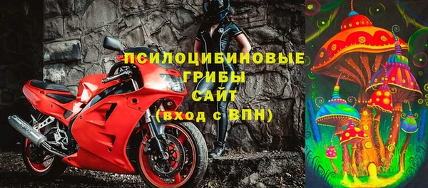 стаф Нефтегорск