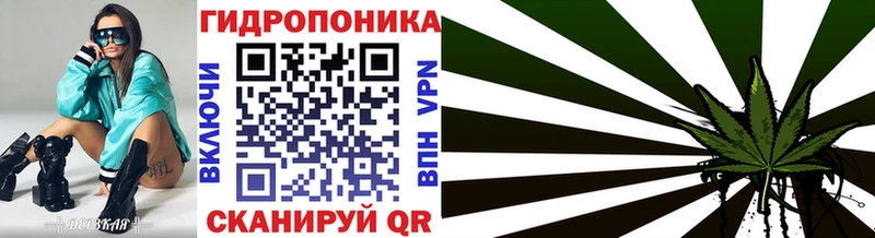 Конопля SATIVA & INDICA Каргат